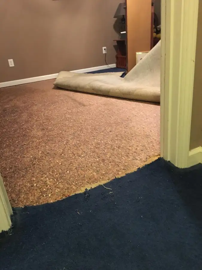 Carpet pad removal revealing water damage during Drying & Dehumidification in Christiana