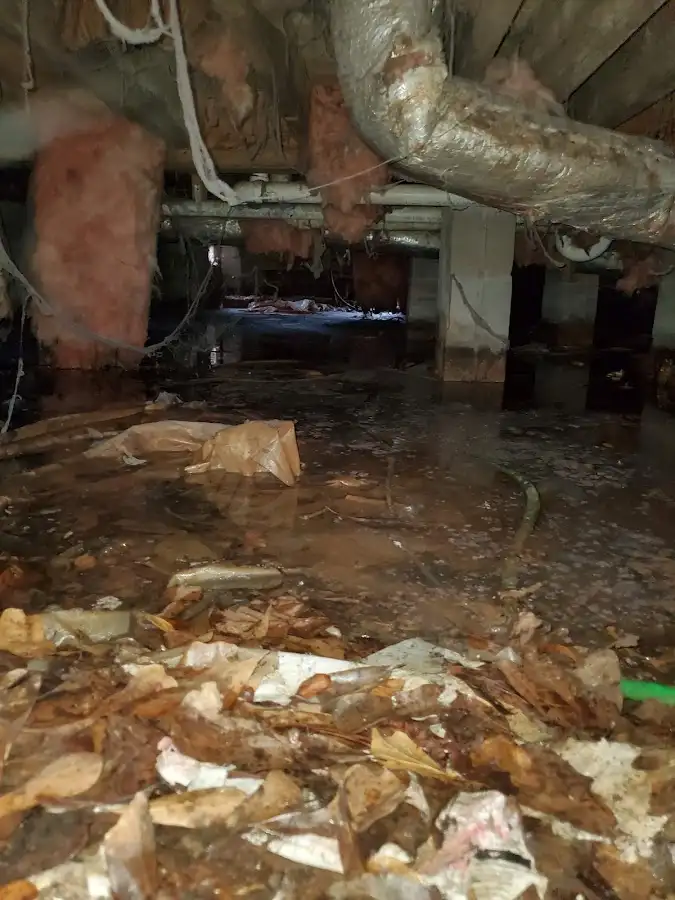 Crawl space flood assessment for Leak Detection & Repair in Christiana